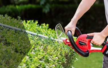 Как выбрать садовый кусторез