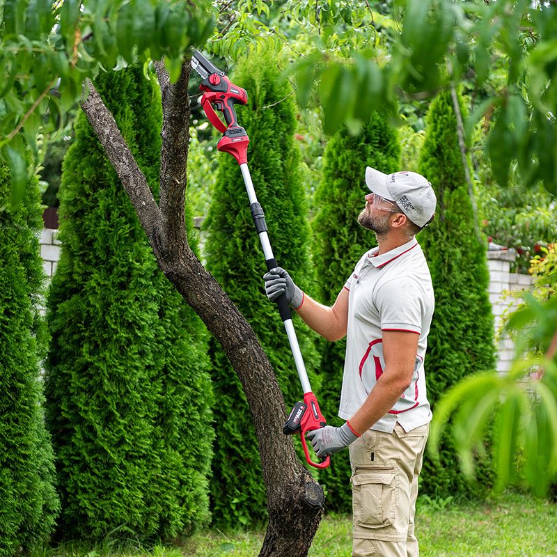 Обрезка веток удлинителем WORCRAFT