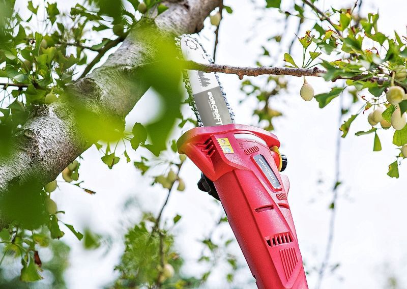 Веткорез в работе среди веток дерева