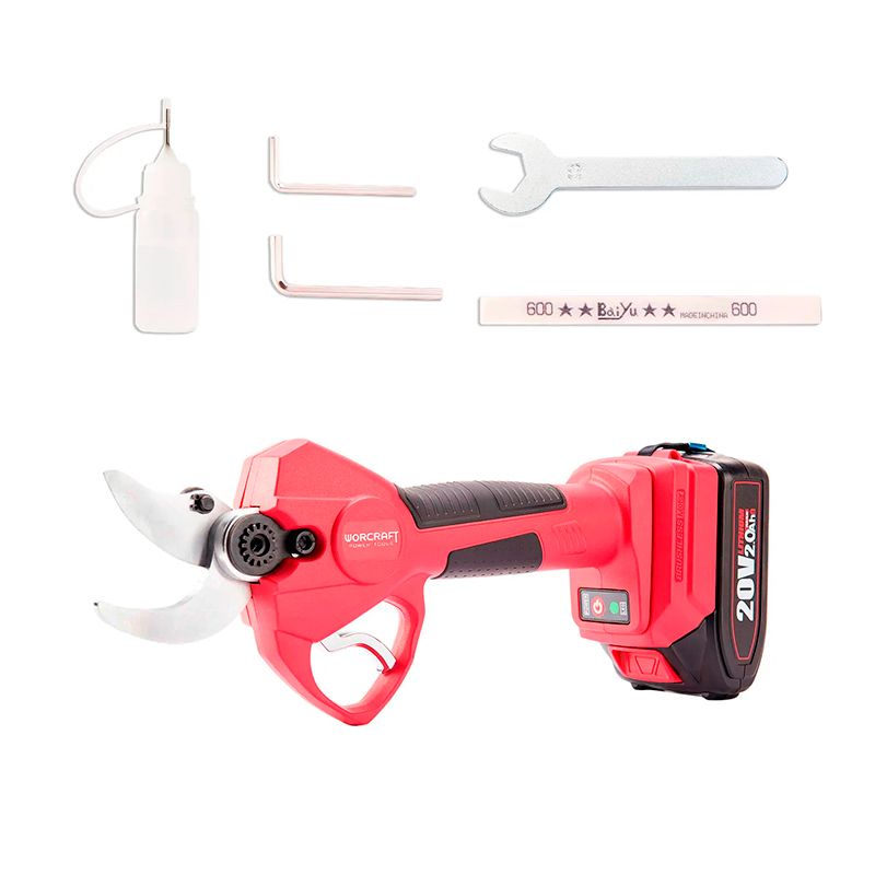 Набор WORCRAFT CSC-S20LiBP с инструментами для обслуживания и зарядки.