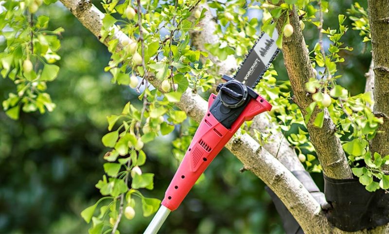 Веткорез обрезает ветку на дереве