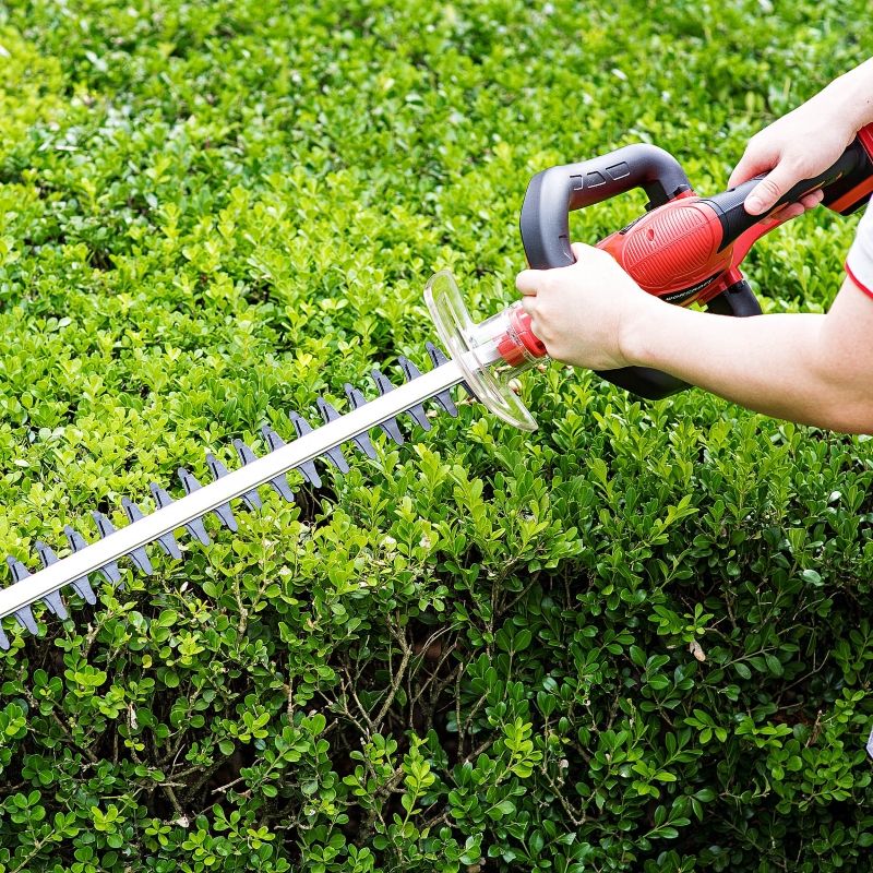 Работа с аккумуляторным кусторезом WORCRAFT по живой изгороди.