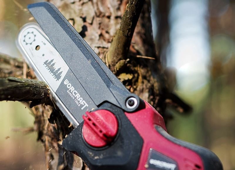 Цепная аккумуляторная пила WORCRAFT на древесной ветке