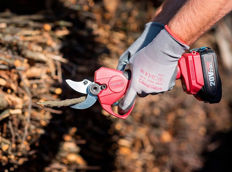 Електричний секатор WORCRAFT CSC-S20LiBP обрізає суху гілку.