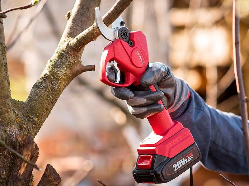 Акумуляторний секатор WORCRAFT CSC-S20LiBP обрізає гілки з плодами.