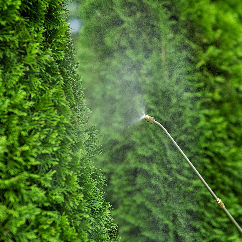 Распыление жидкости из опрыскивателя WORCRAFT на зелёные растения.