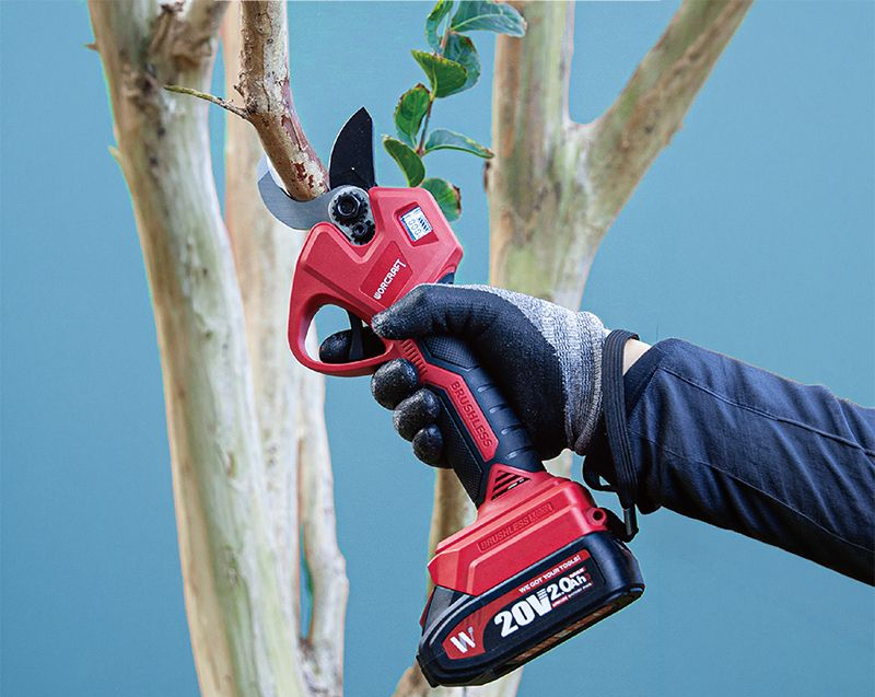Аккумуляторный бесщеточный секатор WORCRAFT CSC-S20LiBA