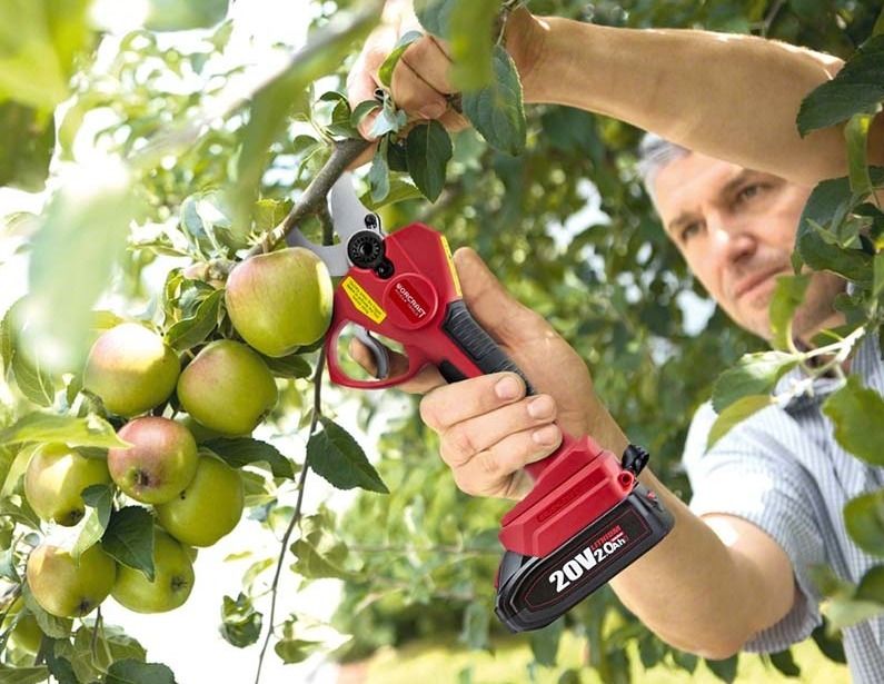 Аккумуляторный секатор WORCRAFT CSC-S20LiBPM обрезает ветку на яблоне.