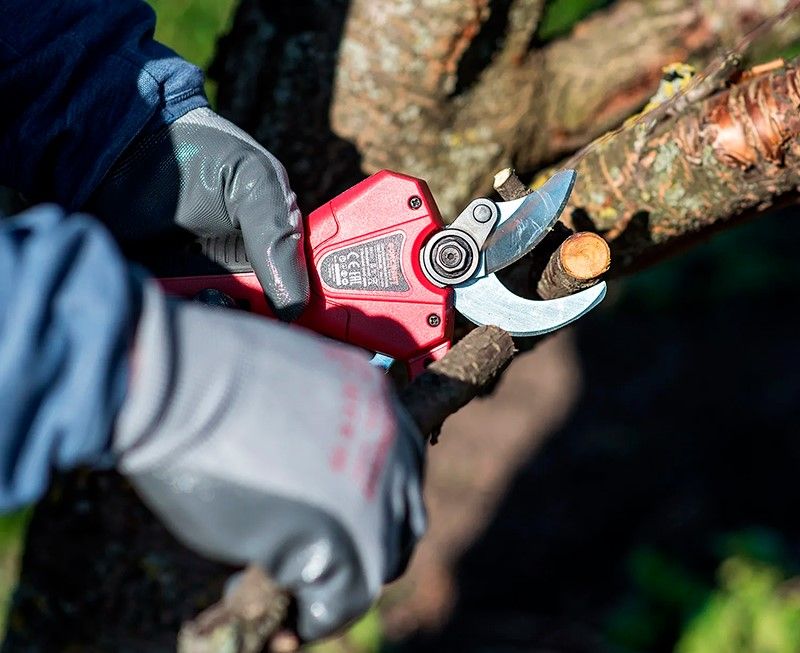 Аккумуляторный бесщеточный секатор WORCRAFT CSC-S20LiBPM