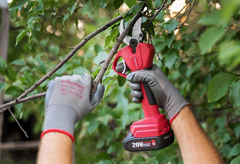 Подрезка тонких ветвей секатором WORCRAFT среди густой листвы.