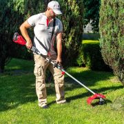 Аккумуляторный бесщеточный триммер WORCRAFT CGT‑S20LiB