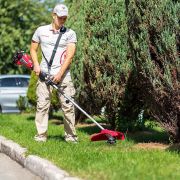 Аккумуляторный бесщеточный триммер WORCRAFT CGT-S40LiBHP