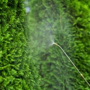 Аккумуляторный опрыскиватель WORCRAFT CBS-S20Li-8L