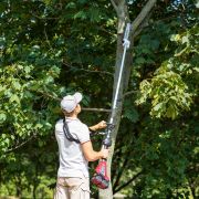 Насадка Высоторез для аккумуляторных триммеров серии WORCRAFT CGT-S40Li