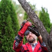 Аккумуляторная бесщеточная пила цепная WORCRAFT CGC-S20LiB