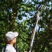 Насадка Высоторез для аккумуляторных триммеров серии WORCRAFT CGT-S40Li