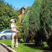 Насадка Кусторез для аккумуляторных триммеров серии CGT-S40Li