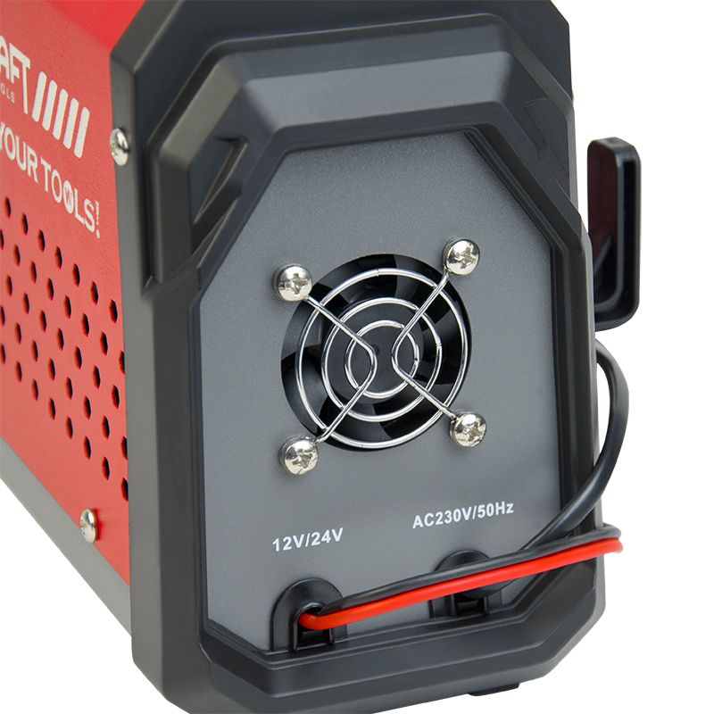 Зарядное устройство для автомобильных аккумуляторов WORCRAFT BC-219