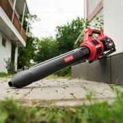 Аккумуляторный бесщеточный садовый воздуходув WORCRAFT CLB-S40LiB