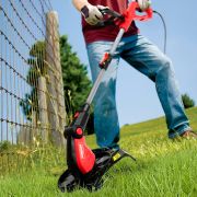 Триммер для травы электрический WORCRAFT EGT07-300