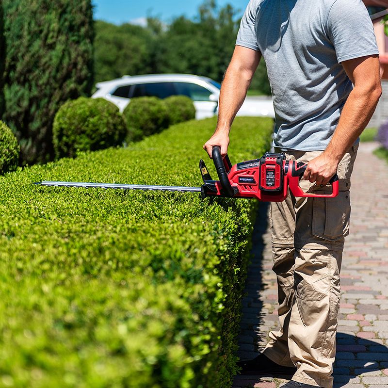 Аккумуляторный бесщеточный кусторез WORCRAFT CHT‑S40LiB