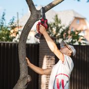 Аккумуляторная бесщеточная мини-пила цепная WORCRAFT CHS-S20LiBP