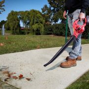 Аккумуляторный воздуходув WORCRAFT CLB-S20Li