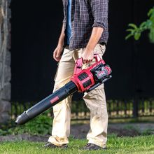 Аккумуляторный бесщеточный садовый воздуходув WORCRAFT CLB-S40LiB