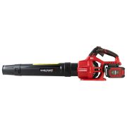 Аккумуляторный бесщеточный садовый воздуходув WORCRAFT CLB‑S40LiBA