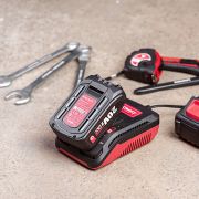 Зарядное устройство WORCRAFT CLC-20V-2.4Н