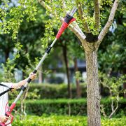 Аккумуляторный веткорез-высоторез WORCRAFT CPS-S20Li