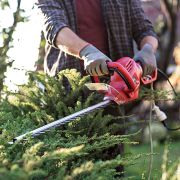 Кусторез WORCRAFT HT06-550