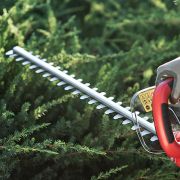 Кусторез WORCRAFT HT06-550