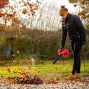 Воздуходув электрический WORCRAFT LB-600